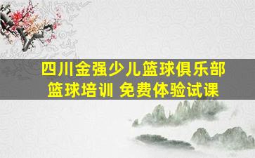 四川金强少儿篮球俱乐部篮球培训 免费体验试课